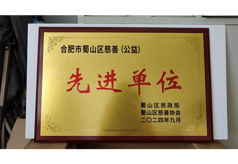 合肥市蜀山區(qū)慈善先進(jìn)單位